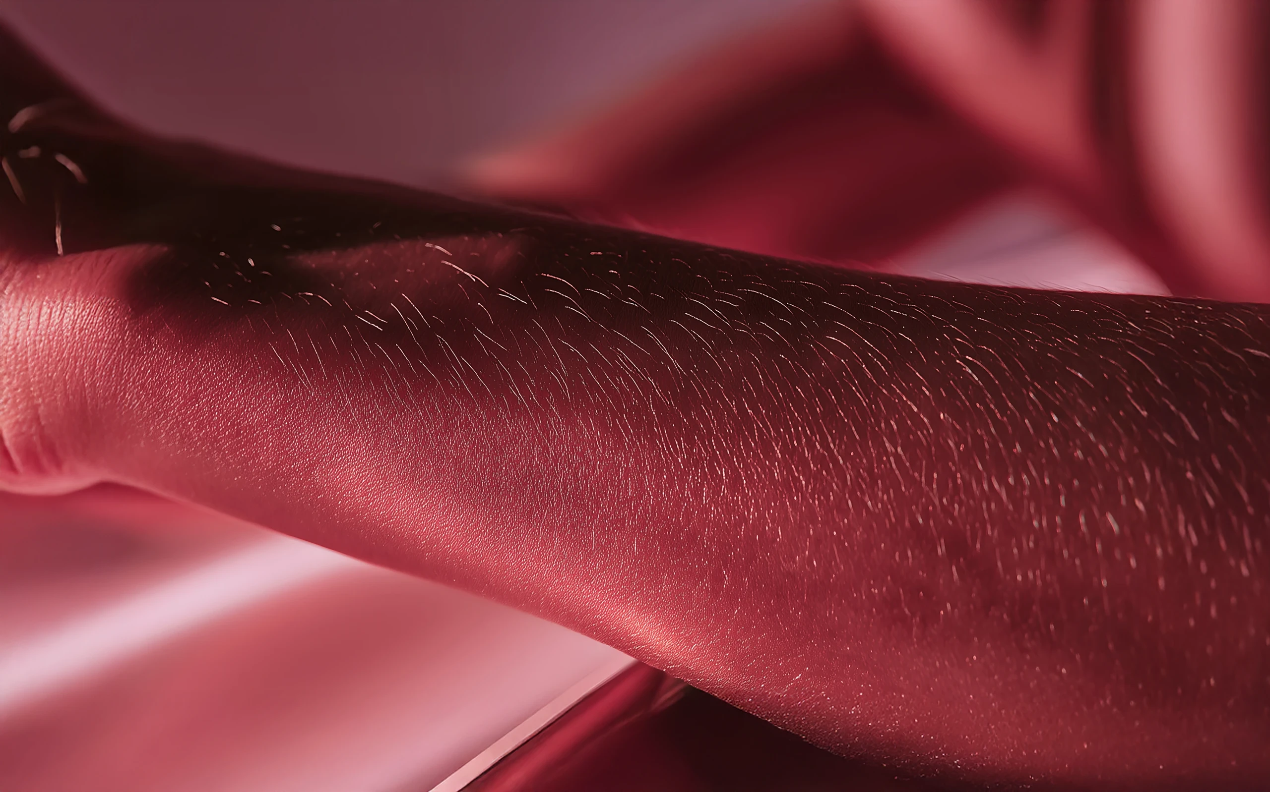 desperte o desejo de sentir2